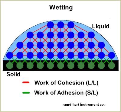 Water Cohesion Diagram