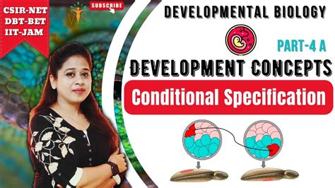 Conditional Specification 1 Basics Of Developmental Biology