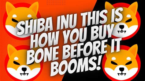 Shiba Inu Here Is Step By Step To Buying Bone Token Before It Explodes