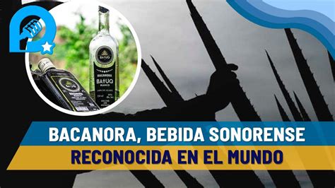 El bacanora bebida ancestral con cientos de años de historia en Sonora