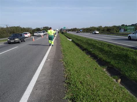 Ciclista Tem Bra O Amputado E Morre Logo Ap S Ser Atropelada Na Br