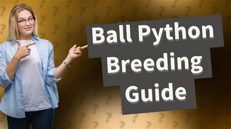 How Can I Successfully Breed My Ball Pythons Youtube