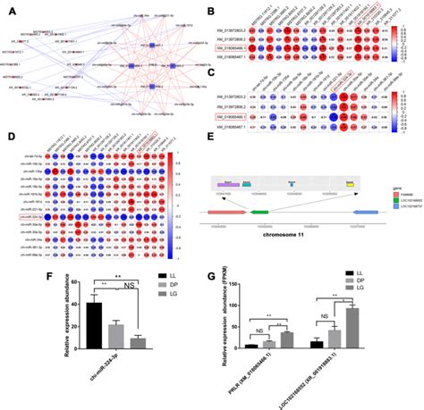 The Co Expression Relationship Of The Hub Gene Prlr With Mirnas And