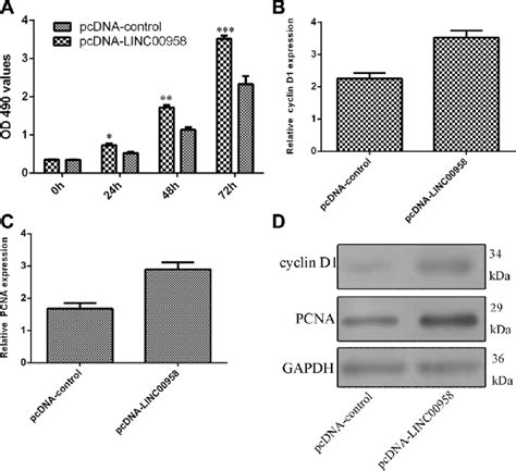 Ectopic Expression Of Linc00958 Promoted Np Cell Proliferation A