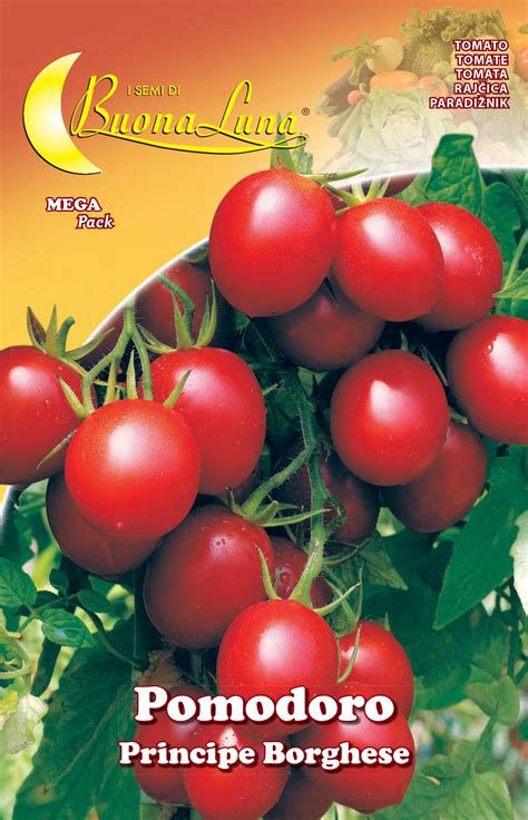 Semillas De Tomate Cherry Vegetales Leroy Merlin