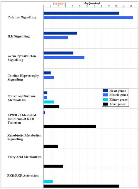 Enrichment Of Canonical Pathways In The Four Tissue Specific Gene