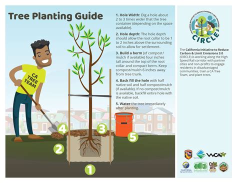 Tree care guide and tips | Invest From the Ground Up