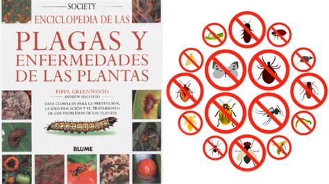 Libro Para Identificar Plagas Y Enfermedades De Plantas 1