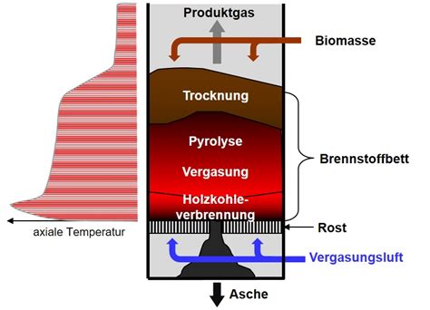 Biomassevergasung