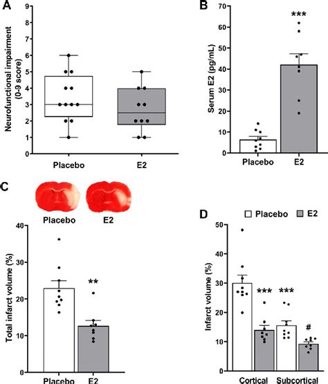 Figure From Cerebroprotective Effect Of Estradiol Replacement