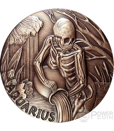 AQUARIUS Memento Mori Zodiac Skull Horoscope Copper Coin 2015