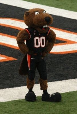 Image result for beaver mascot | Oregon state university, Beaver, Osu beavers