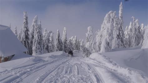 La munte a venit iarna este frig și ninge de ore bune Unde poți schia