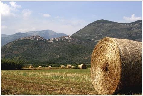 Pro Loco Di Maenza Associazione Di Promozione Turistica