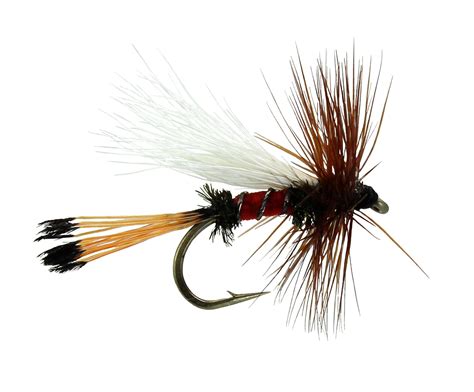 Royal Coachman Trude Dry Fly Is A Classic Stimulator With A Twist