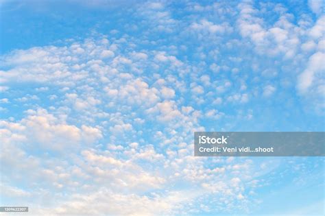 Fluffy Translucent Cirrocumulus Clouds High In A Blue Sky Tranquil Skyscape On A Sunny Day As A