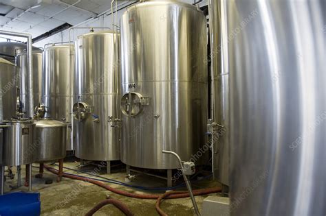 Vats In Microbrewery Stock Image T Science Photo Library