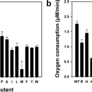 Comparison Of Laccase Activity Of Purified Wild Type Ctlac Wt V D