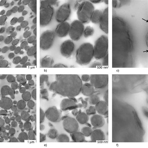 Structure of Cloisite 30B and Cloisite 15A modi- fiers | Download ...