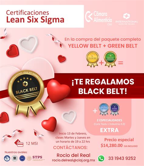 CERTIFICACIÓN LEAN SIX SIGMA YELLOW GREEN Y BLACK BELT CIAJ