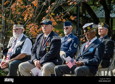 American Veterans Honored at a Veteran’s Day Ceremony Stock Photo - Alamy