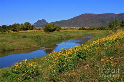 Karoo Landscape Photograph by Jennifer Ludlum - Pixels