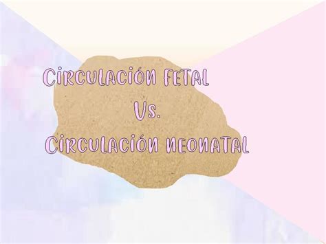 Circulaci N Fetal Y Circulaci N Neonatal Pict Udocz