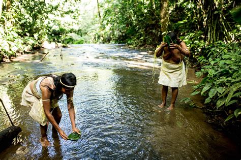 Indigenous People In The Amazon Jesuit European Social Centre