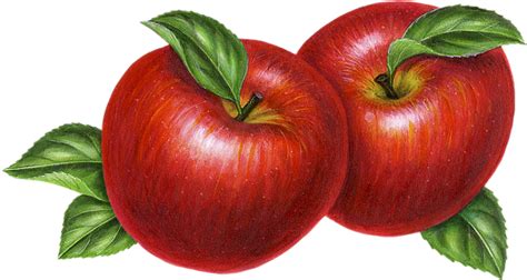 Pommes Rouges Png Dessin Tube Fruitred Apples Clipart