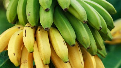 Ripe Plantain