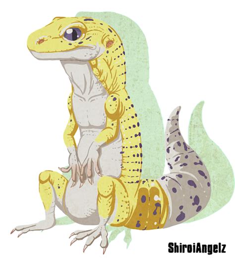 Sitting Gecko By Shiroiangelz On Deviantart