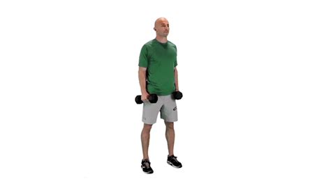 Mastering Dumbbell Standing Dumbbell Lateral Raise Guide Form Flaws