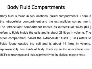 Body Fluids And Electrolytes Presentation Pptx