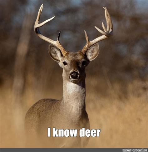 Meme: "I know deer" - All Templates - Meme-arsenal.com