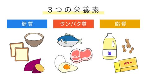 ビタミンb群とは？効果や豊富に含まれる食べ物、不足・過剰で起こること｜わかもとラボ