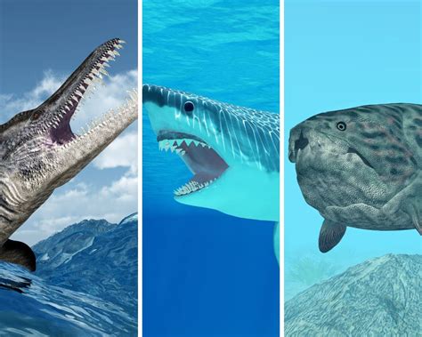 Liopleurodon Vs. Megalodon Vs. Dunkleosteus