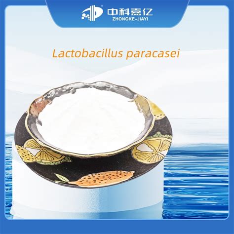 100 Billion Active Probiotics Lactobacillus Paracasei For Gut Health