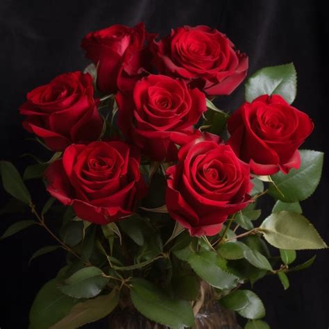 Premium Photo A Vase Of Red Roses Is Shown With Green Leaves