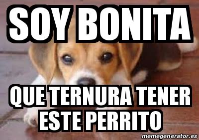 Meme Personalizado Soy Bonita Que Ternura Tener Este Perrito