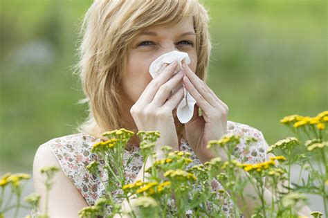 La Primavera Ha Llegado Y Con Ella Las Alergias Primaverales Noticias