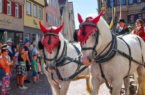 Fotostrecke Pferdemarkt Bietigheim Bissingen Festumzug Ist