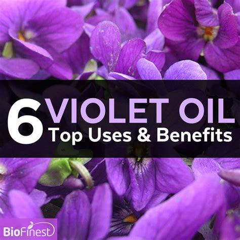 6 Superb Benefits And Uses Of Violet Essential Oil That You Might Not