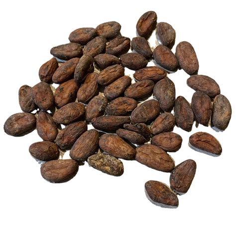 Buy Dried Cocoa Beans In 50kg Bags Organic Roasted Cacao Beans Sun