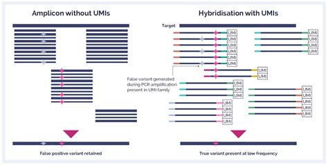 Universal Ngs Workflow Solution V2 Ogt