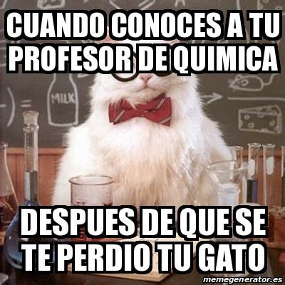 Meme Chemistry Cat Cuando Conoces A Tu Profesor De Quimica Despues De