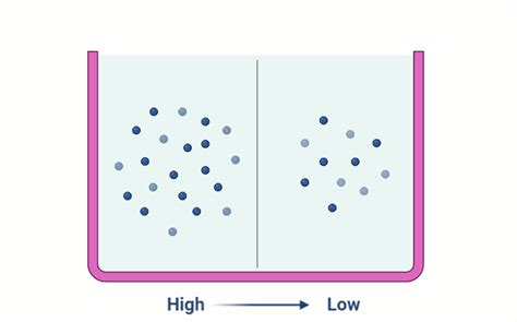 Osmosis - Rethink Biology Notes