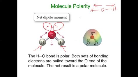 How To Determine The Polarity Of Molecules Youtube