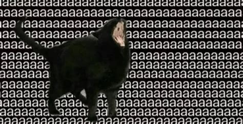 aaaaa  aaaa  aaaaaaa aaaa aaa aa aaaaaaaa aaaaaaaaaa  aaa
