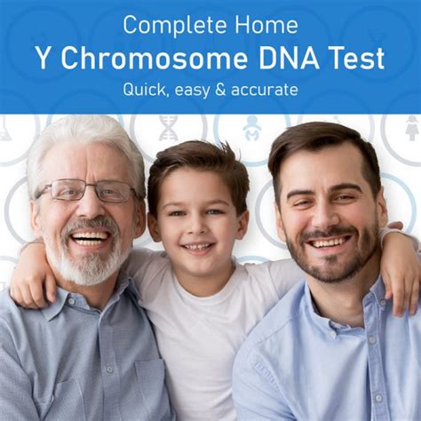 Y Chromosome Dna Testing Y Dna Test Alphabiolabs Usa