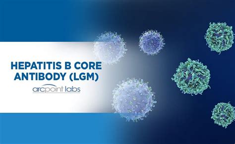 Hepatitis B Core Antibody (core-specific LgM) - ARCpoint Lab